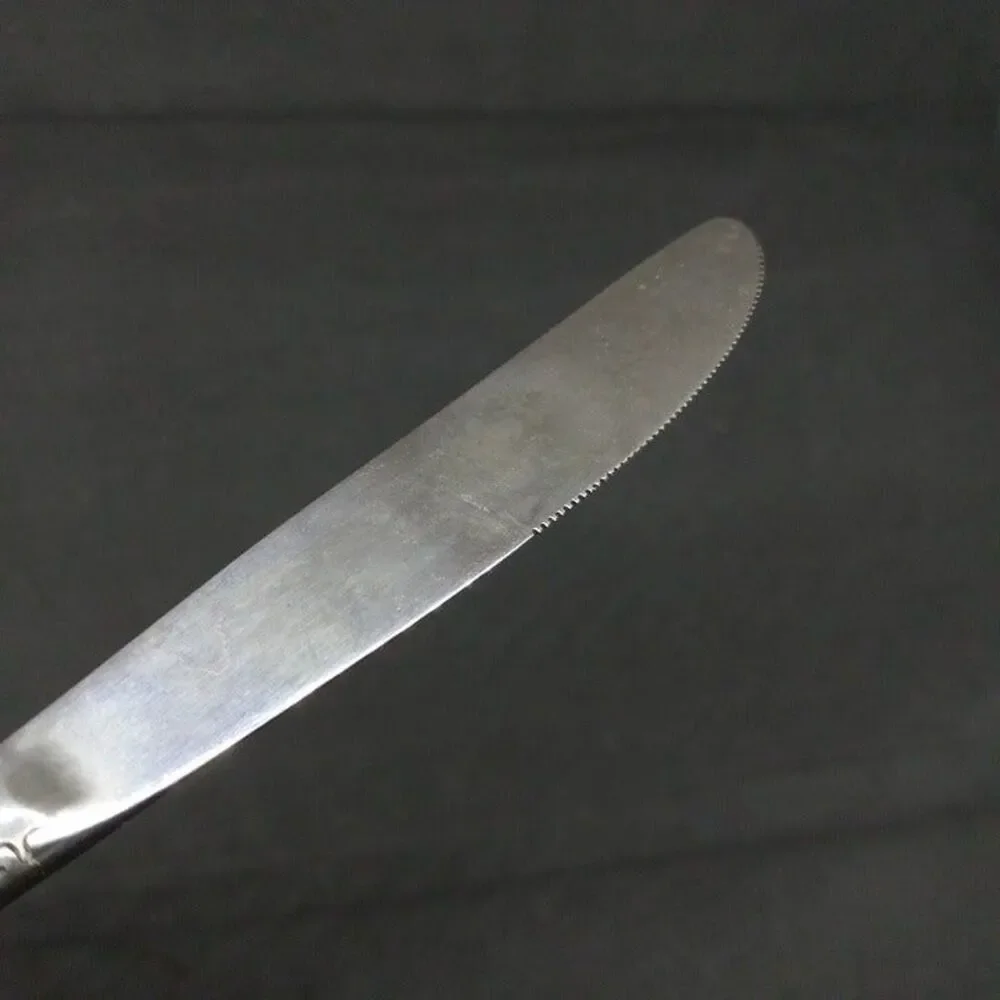 United Silver Stainless Acadia Modern Dinner Knife-Japan-Floral-Pierced-Lot of 4